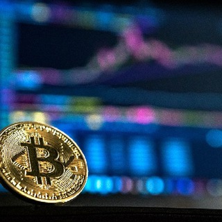 Telegram group profile photo for nextmoonshot