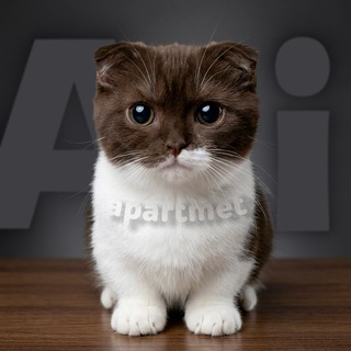 Telegram profile photo for 🏠 | AI.Apartment