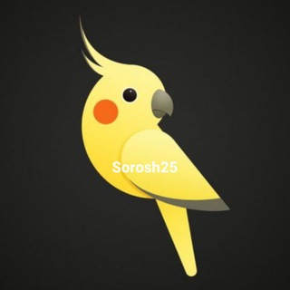 Telegram profile photo for مجله دانستنی پرندگان زینتی