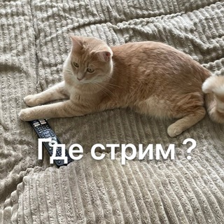 Telegram group profile photo for Люди планеты