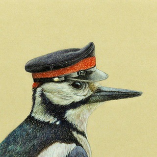 Telegram profile photo for Балтийский болтун