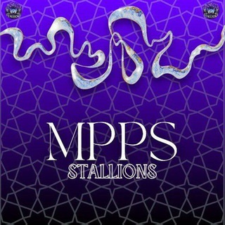 Telegram profile photo for PS STALLIONS
