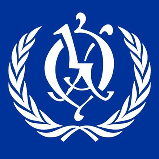 Telegram profile photo for Модель ООН в ОА