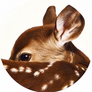 Telegram profile photo for ˚₊‧ 𝓐𝓻𝓽𝓮𝓵𝓵𝓪 ‧₊˚