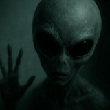 Telegram profile photo for آلـزایمر