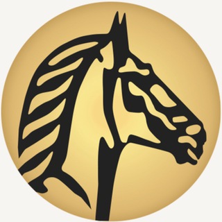 Telegram profile photo for SUISSE BANK