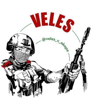 Telegram group profile photo for Библиотека VELESa