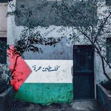 Telegram profile photo for دار مصر - روايات