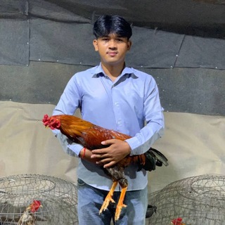 Telegram group profile photo for គ្រុបវិសាល-បក្សីថ្នល់ដែក(ទី2)🐓🥰