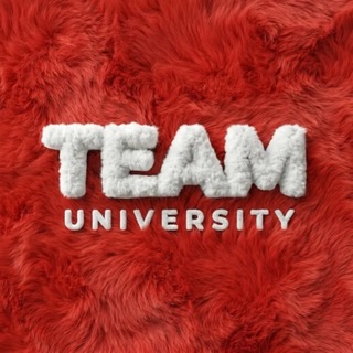 Telegram profile photo for TEAM University