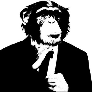 Telegram profile photo for Mr
