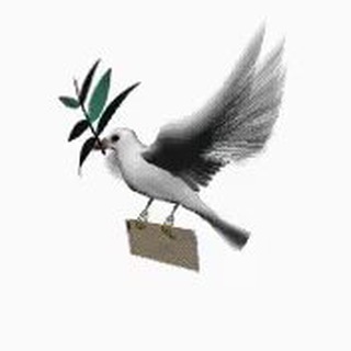 Telegram profile photo for ملف انجاز الكتروني