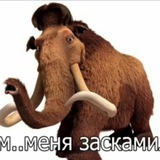 Telegram profile photo for 🐘MOLODOY SKAMER🐘