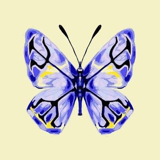 Telegram profile photo for Психологический клуб НИЯУ МИФИ