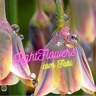Telegram profile photo for ๐ Light Flowers com Fabi ๐๐คโ๏ธ