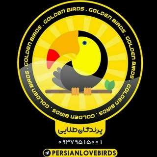 Telegram profile photo for 💛Golden birds💛💚qom💚