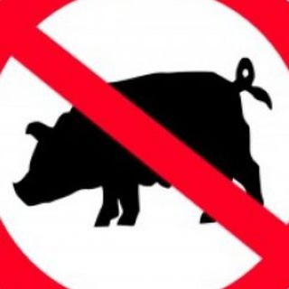 Telegram profile photo for Аллах