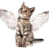 Telegram profile photo for 𝕸𝖆𝖌𝖊𝖓𝖙𝖆'𝖘 𝖘𝖍𝖔𝖕|каталог
