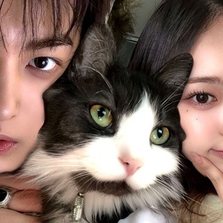 Telegram profile photo for Archives