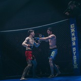 Telegram profile photo for Timur Turgat MMA