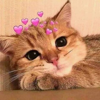 Telegram profile photo for وِئَامْ. 🤎