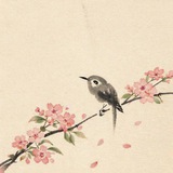 Telegram profile photo for Tori En (鳥苑)