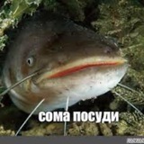 Telegram profile photo for весьма сомнительно