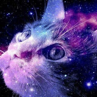 Telegram profile photo for Москва - Сочи. Фестивали, мероприятия, коттеджи, ретриты ✨