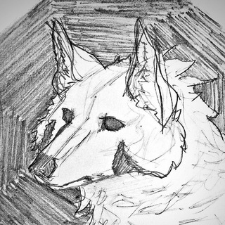 Telegram profile photo for WOLVENARCHIVE