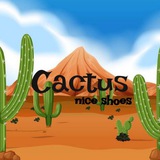 Telegram profile photo for Cactus 🌵