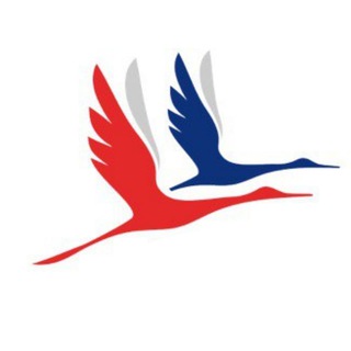 Telegram profile photo for Координационный Совет Франции