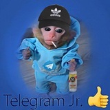 Telegram profile photo for Shitpost Hue: Definitive Edition