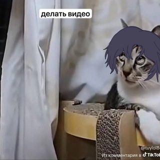 Telegram profile photo for дзенчик