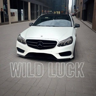 Telegram profile photo for Wild Luck