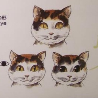 Telegram profile photo for Альбедо | 24/7