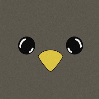 Telegram profile photo for rwob
