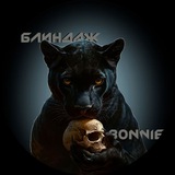 Telegram profile photo for Блиндаж Bonnie 2.0