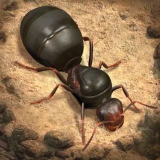 Telegram profile photo for Чат The Ants