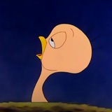 Telegram profile photo for Tweety Pie