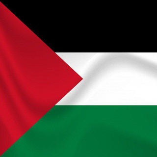 Telegram profile photo for كورسات تداول