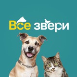 Telegram profile photo for Все Звери