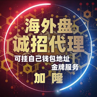 Telegram profile photo for 星河集团-海外精聊盘-招代理