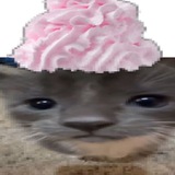 Telegram profile photo for кот аболтус