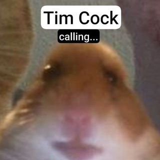Telegram profile photo for LCDshka6752 | Main channel