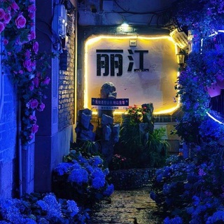 Telegram profile photo for 昆明大理丽江95-95资源