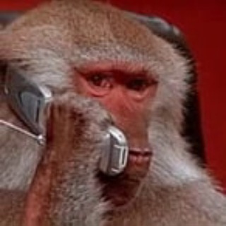 Telegram profile photo for Monkey Analyst