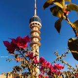 Telegram profile photo for 🇮🇶عيون❤️ بغداد🇮🇶