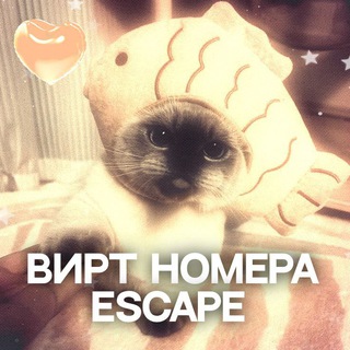 Telegram profile photo for вирт номера ESCAPE