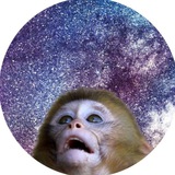Telegram profile photo for VAYSAME