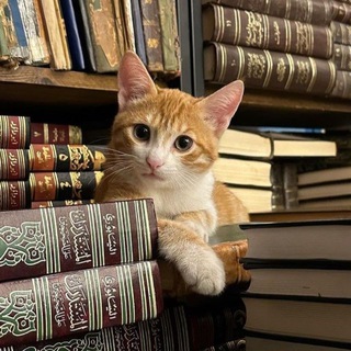 Telegram profile photo for Ayat For Quran